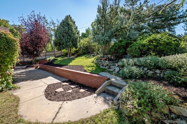 view of yard featuring a patio area