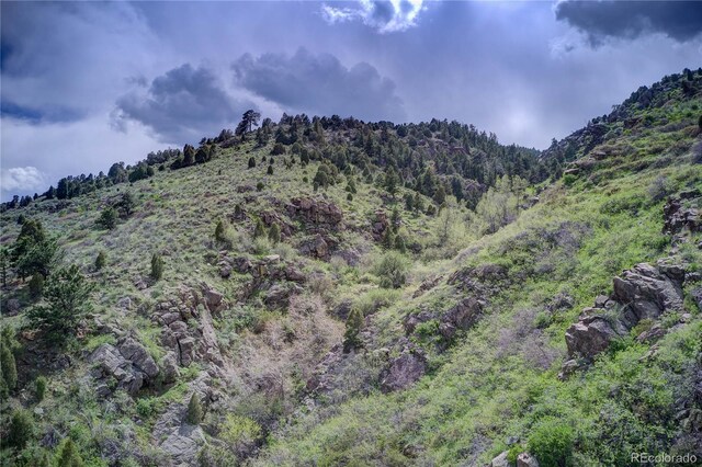 856 Shelton Rd, Golden, CO 80401 - photo 19