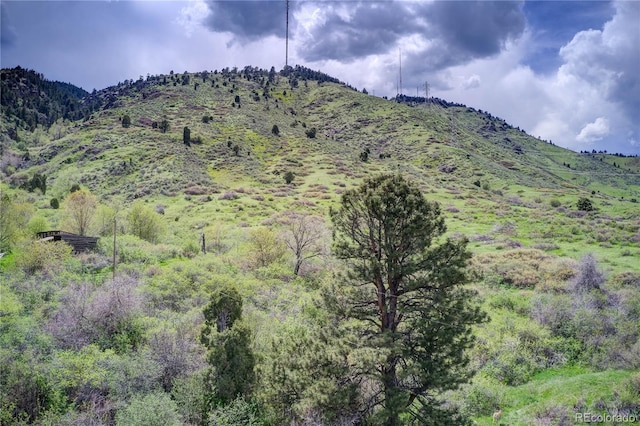 856 Shelton Rd, Golden, CO 80401 - photo 12