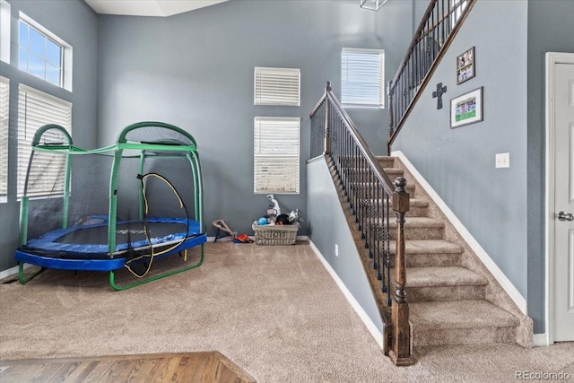 5404 Fawn Ridge Way, Castle Rock, CO 80104 - rec room featuring baseboards and carpet flooring