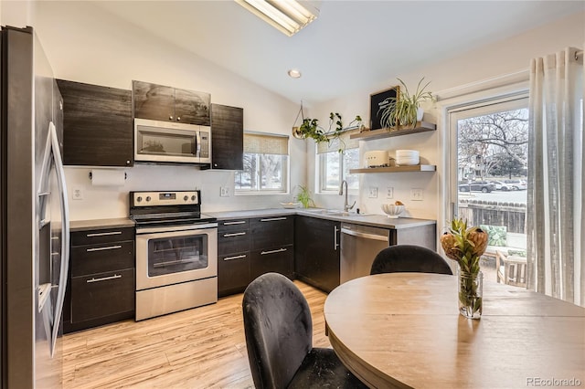 kitchen with dark brown cabinetry, a wealth of natural light, lofted ceiling, and appliances with stainless steel finishes