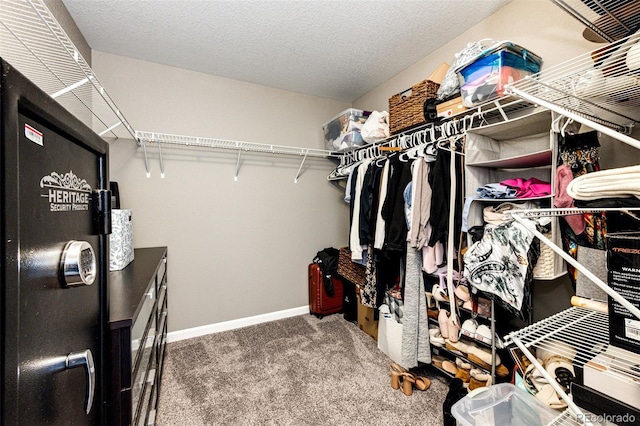 spacious closet featuring carpet