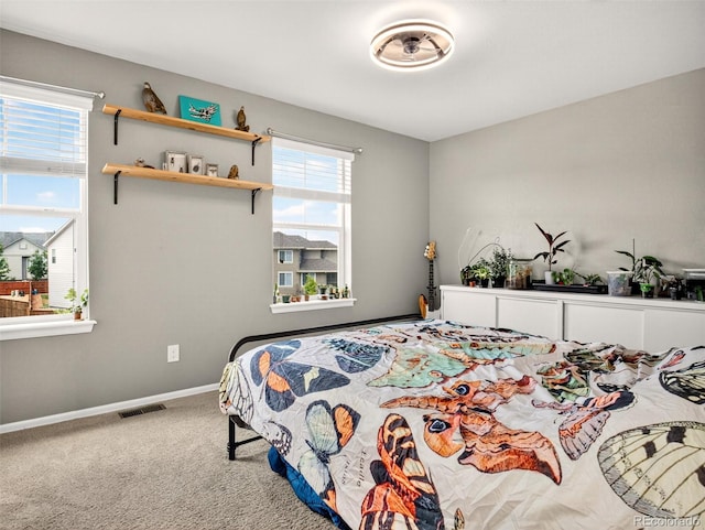 1536 Mcmurdo Trl, Castle Rock, CO 80108 - photo 28