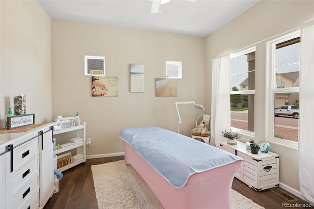 7505 Alpine Daisy Dr, Colorado Springs, CO 80925 - photo 13