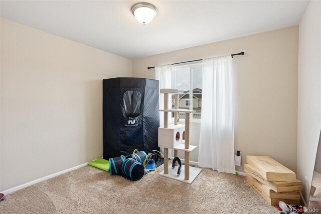 7505 Alpine Daisy Dr, Colorado Springs, CO 80925 - photo 25