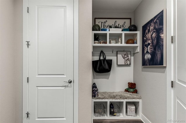 5964 E 141st Ave, Thornton, CO 80602 - mudroom with baseboards