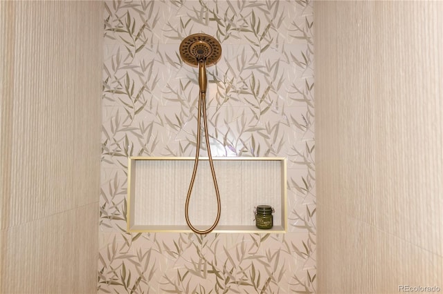 room details featuring walk in shower