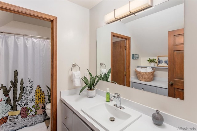 full bathroom with toilet and vanity