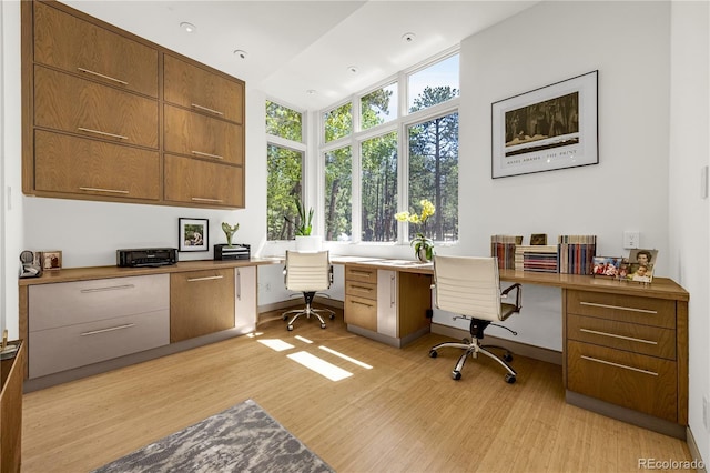 1250 Dolan Dr, Monument, CO 80132 - office space featuring built in desk and light wood finished floors