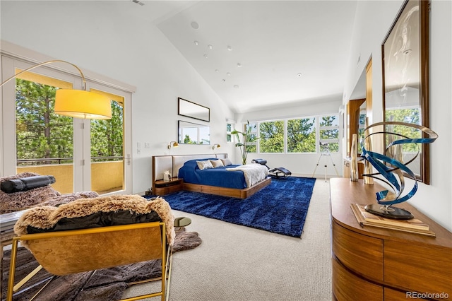 1250 Dolan Dr, Monument, CO 80132 - bedroom featuring access to outside, carpet, and high vaulted ceiling