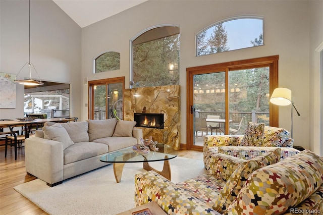 living room featuring plenty of natural light, a stone fireplace, and wood finished floors