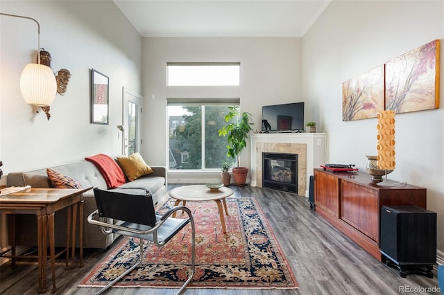 living room with crown molding, a fireplace, dark wood-type flooring, and a high ceiling