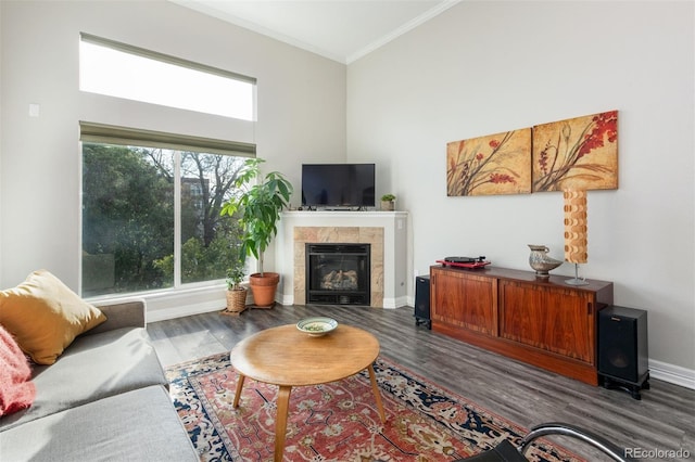 living room with a fireplace, dark hardwood / wood-style flooring, and crown molding