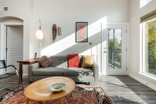 living room with wood-type flooring