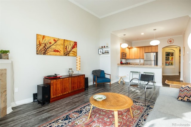 living room with dark wood-type flooring, ornamental molding, and sink