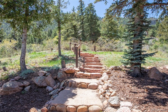 9850 Mohawk Trl, Cascade, CO 80809 - view of yard with a forest view