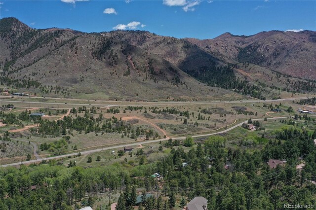 9850 Mohawk Trl, Cascade, CO 80809 - mountain view