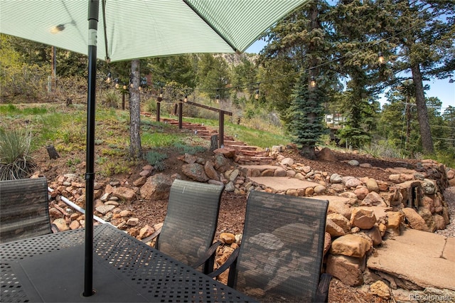9850 Mohawk Trl, Cascade, CO 80809 - view of patio