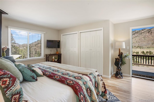 9850 Mohawk Trl, Cascade, CO 80809 - bedroom with access to outside, light wood-style floors, multiple closets, and baseboards