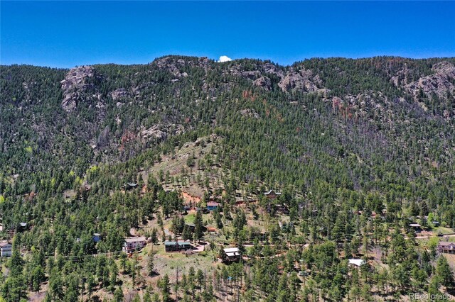 9850 Mohawk Trl, Cascade, CO 80809 - mountain view with a forest