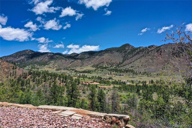 9850 Mohawk Trl, Cascade, CO 80809 - view of mountain backdrop