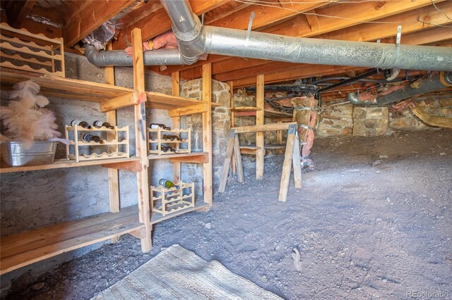 9850 Mohawk Trl, Cascade, CO 80809 - view of basement
