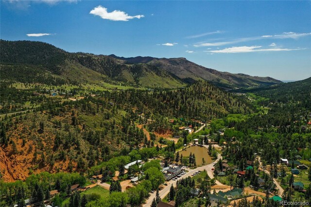 9850 Mohawk Trl, Cascade, CO 80809 - view of property location featuring a heavily wooded area and a mountainous background