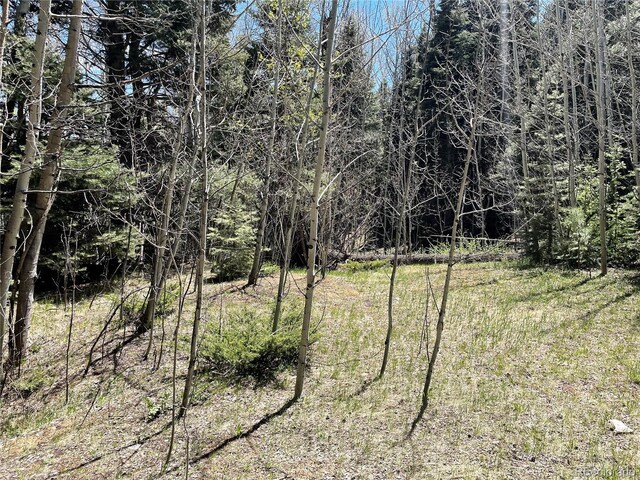 146 Gibson Rd, Westcliffe, CO 81252 - photo 12