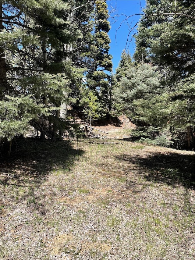 146 Gibson Rd, Westcliffe, CO 81252 - photo 13