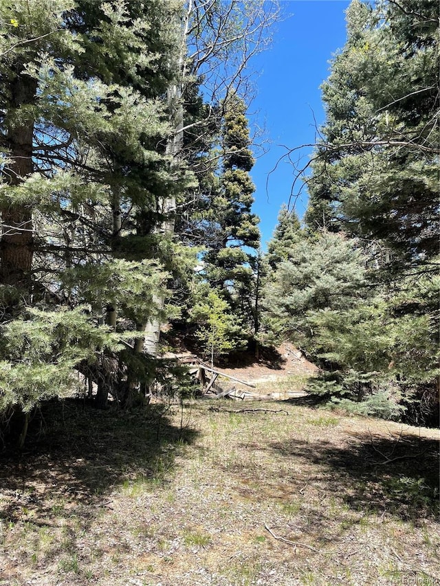 146 Gibson Rd, Westcliffe, CO 81252 - photo 14