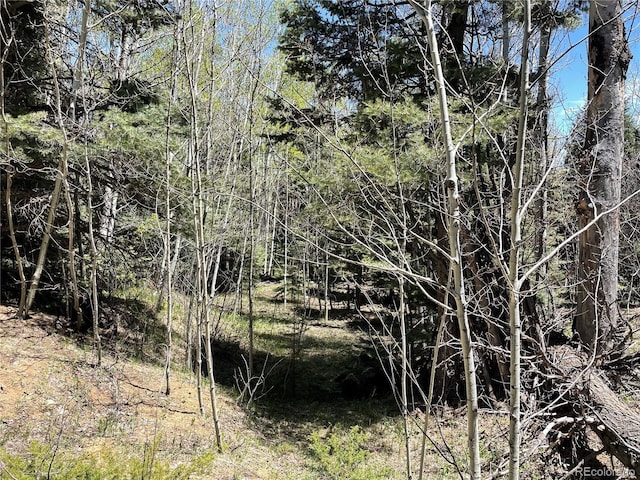 146 Gibson Rd, Westcliffe, CO 81252 - photo 16