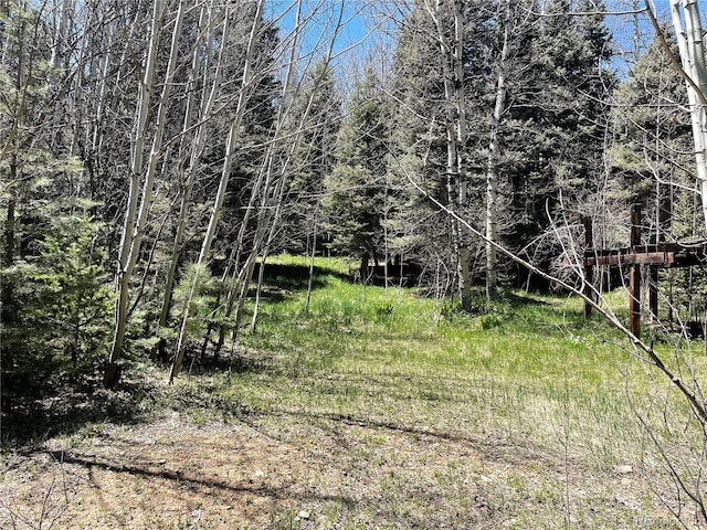 146 Gibson Rd, Westcliffe, CO 81252 - photo 18