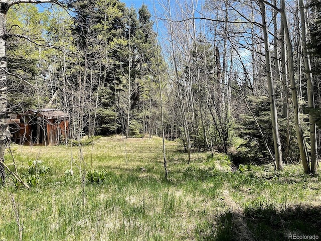 146 Gibson Rd, Westcliffe, CO 81252 - photo 19
