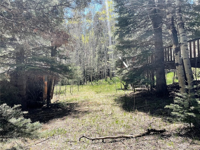 146 Gibson Rd, Westcliffe, CO 81252 - photo 21