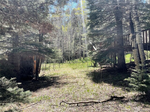 146 Gibson Rd, Westcliffe, CO 81252 - photo 22
