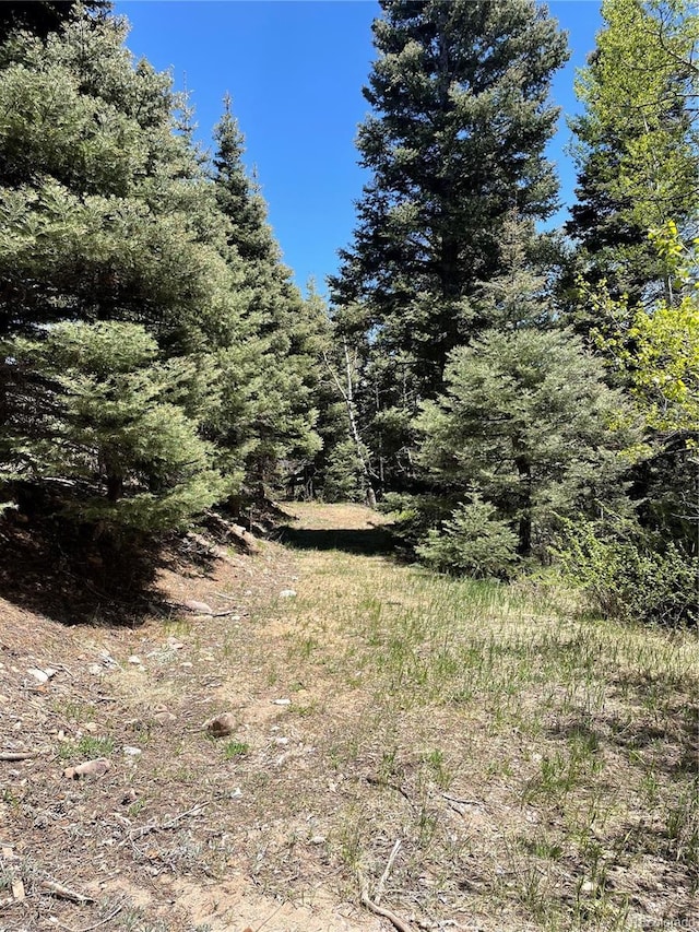 146 Gibson Rd, Westcliffe, CO 81252 - photo 25