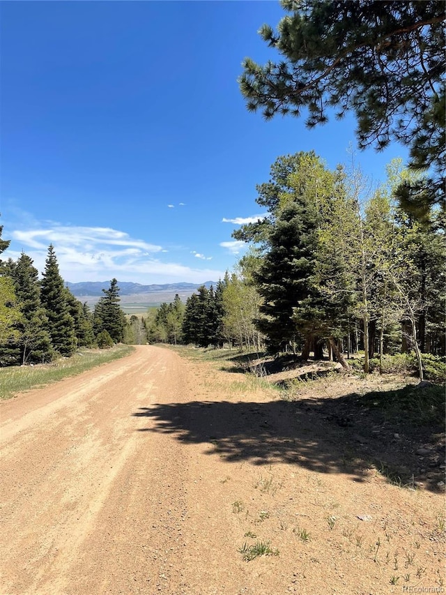 146 Gibson Rd, Westcliffe, CO 81252 - photo 27