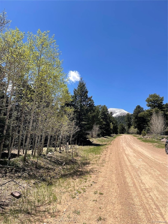 146 Gibson Rd, Westcliffe, CO 81252 - photo 28