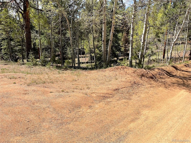146 Gibson Rd, Westcliffe, CO 81252 - photo 1
