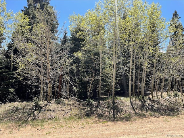 146 Gibson Rd, Westcliffe, CO 81252 - photo 2