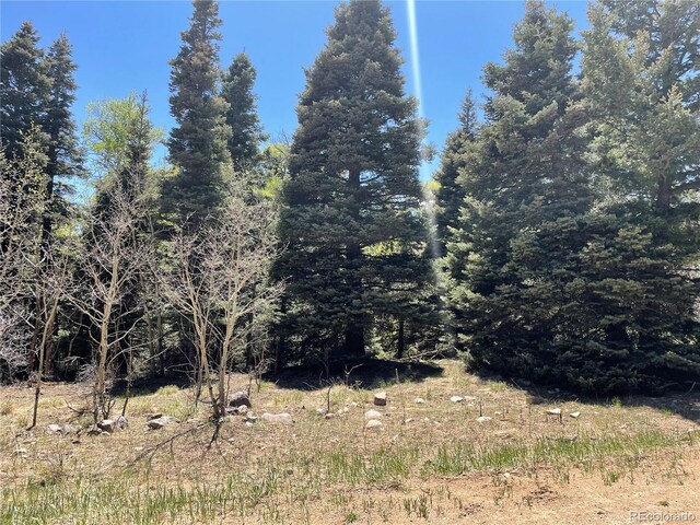 146 Gibson Rd, Westcliffe, CO 81252 - photo 3