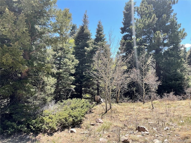 146 Gibson Rd, Westcliffe, CO 81252 - photo 4