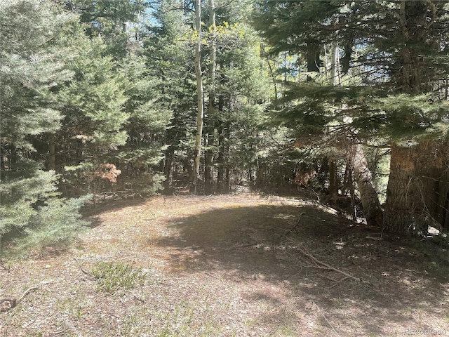 146 Gibson Rd, Westcliffe, CO 81252 - photo 9
