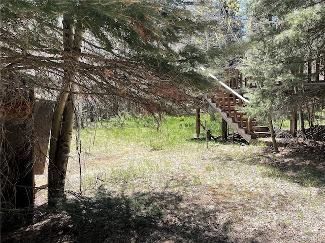 146 Gibson Rd, Westcliffe, CO 81252 - photo 10