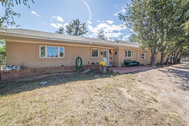 back of house featuring a patio area and a yard