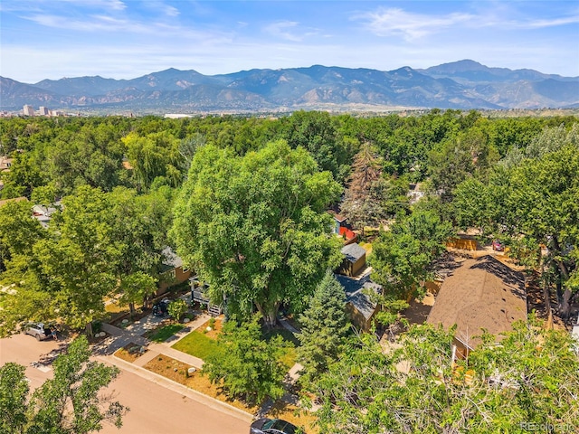 1502 N Prospect St, Colorado Springs, CO 80907 - photo 35
