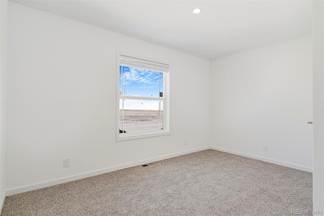 spare room with crown molding and carpet floors