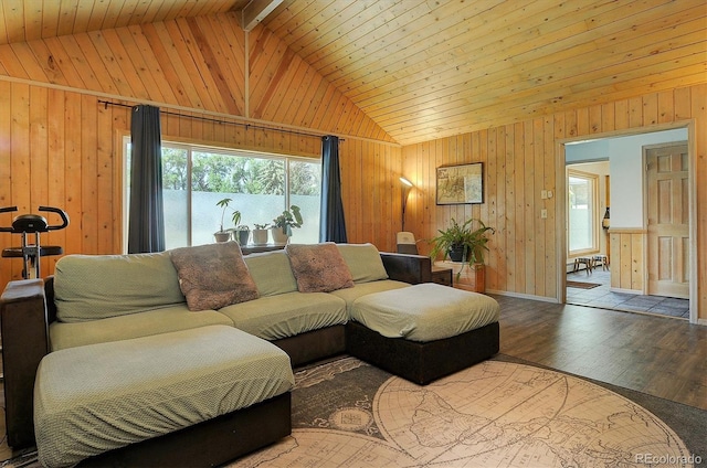 510 Crossman Ave, Buena Vista, CO 81211 - living room with hardwood / wood-style flooring and wooden walls