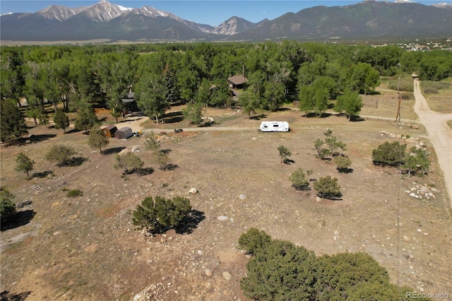 510 Crossman Ave, Buena Vista, CO 81211 - view of mountain background
