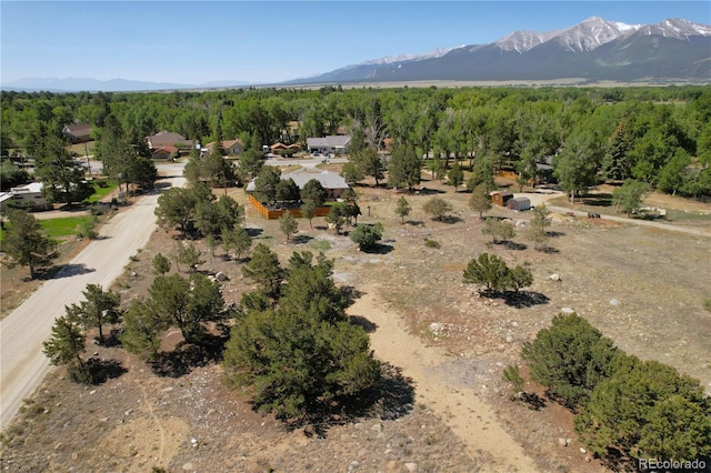 510 Crossman Ave, Buena Vista, CO 81211 - view of property location featuring mountains